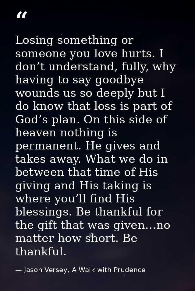 Losing something or someone you love hurts. I don’t understand, fully, why having to say goodbye wounds us so deeply but — Jason Versey, A Walk with Prudence
