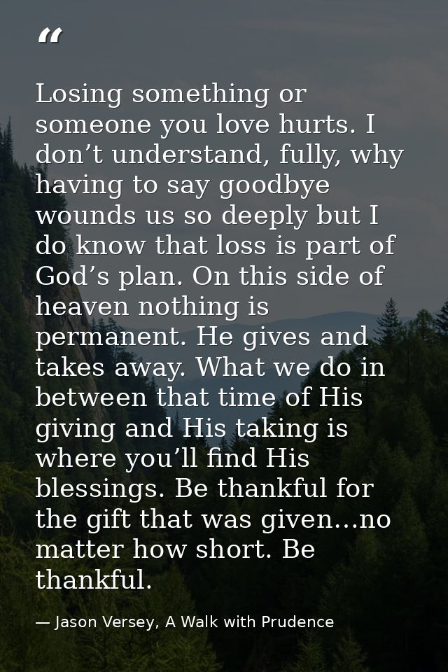 Losing something or someone you love hurts. I don’t understand, fully, why having to say goodbye wounds us so deeply but — Jason Versey, A Walk with Prudence