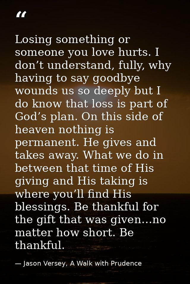 Losing something or someone you love hurts. I don’t understand, fully, why having to say goodbye wounds us so deeply but — Jason Versey, A Walk with Prudence