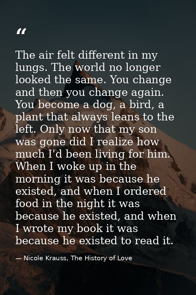 The air felt different in my lungs. The world no longer looked the same. You change and then you change again. You becom — Nicole Krauss, The History of Love