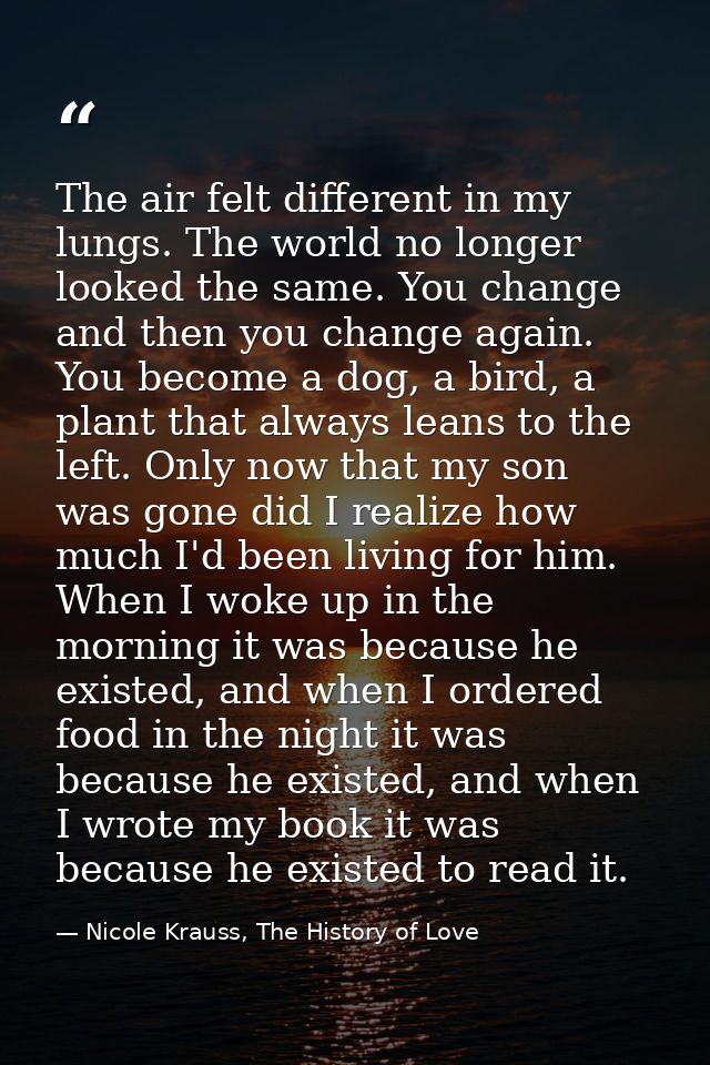 The air felt different in my lungs. The world no longer looked the same. You change and then you change again. You becom — Nicole Krauss, The History of Love