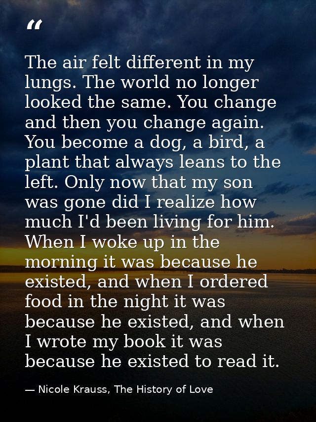 The air felt different in my lungs. The world no longer looked the same. You change and then you change again. You becom — Nicole Krauss, The History of Love