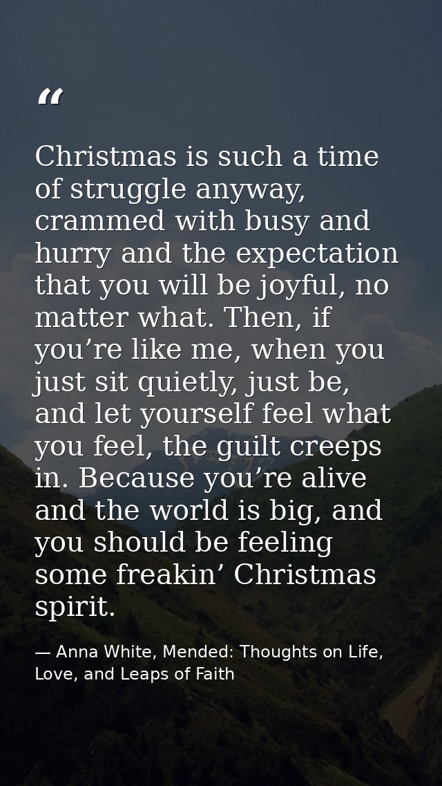 Christmas is such a time of struggle anyway, crammed with busy and hurry and the expectation that you will be joyful, no — Anna White, Mended: Thoughts on Life, Love, and Leaps of Faith