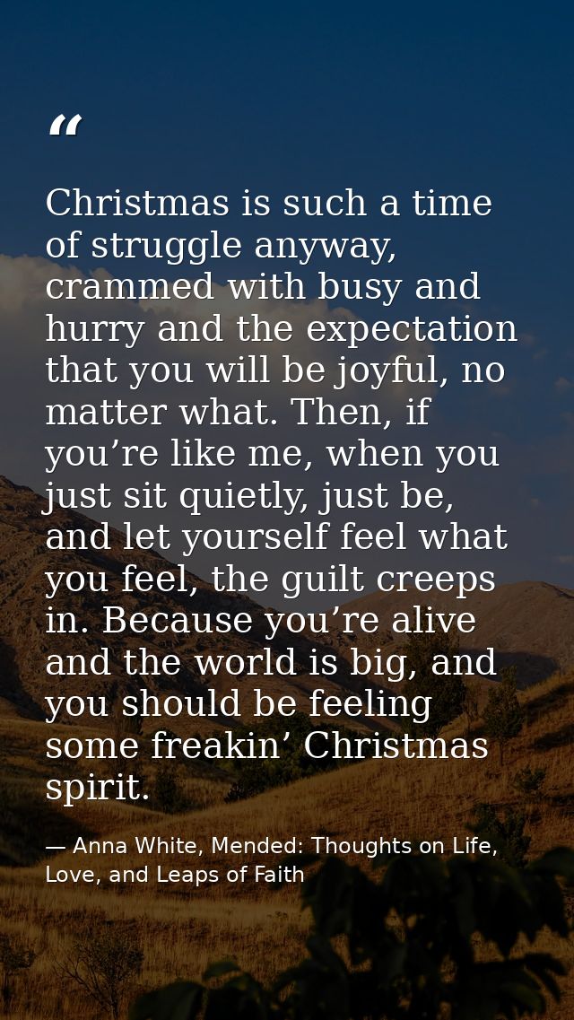 Christmas is such a time of struggle anyway, crammed with busy and hurry and the expectation that you will be joyful, no — Anna White, Mended: Thoughts on Life, Love, and Leaps of Faith