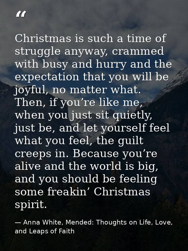 Christmas is such a time of struggle anyway, crammed with busy and hurry and the expectation that you will be joyful, no — Anna White, Mended: Thoughts on Life, Love, and Leaps of Faith