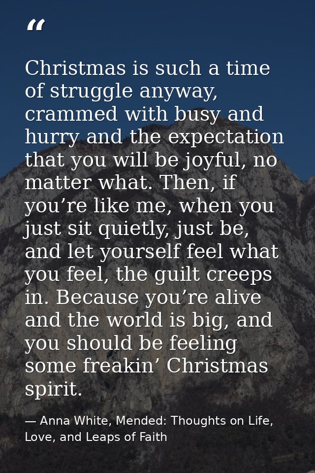 Christmas is such a time of struggle anyway, crammed with busy and hurry and the expectation that you will be joyful, no — Anna White, Mended: Thoughts on Life, Love, and Leaps of Faith