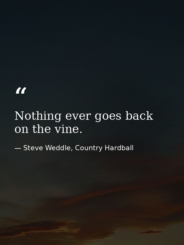 Nothing ever goes back on the vine. — Steve Weddle, Country Hardball