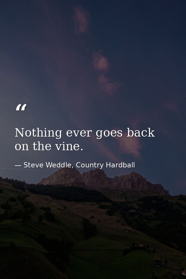 Nothing ever goes back on the vine. — Steve Weddle, Country Hardball