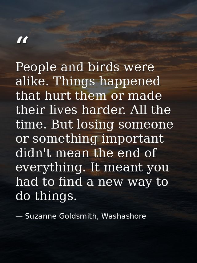 People and birds were alike. Things happened that hurt them or made their lives harder. All the time. But losing someone — Suzanne Goldsmith, Washashore