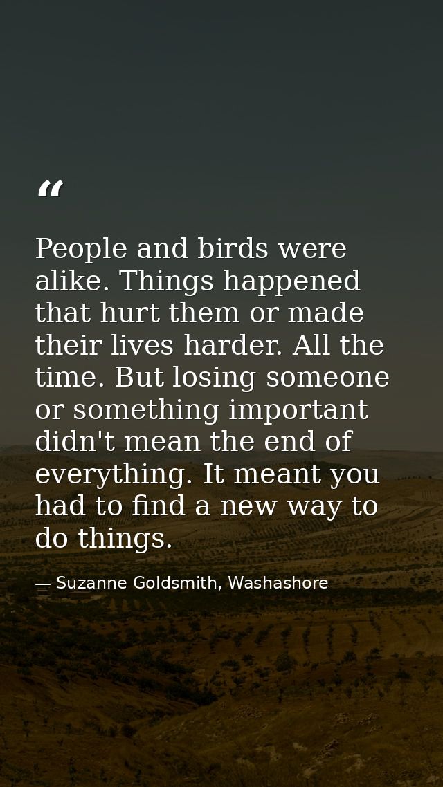 People and birds were alike. Things happened that hurt them or made their lives harder. All the time. But losing someone — Suzanne Goldsmith, Washashore