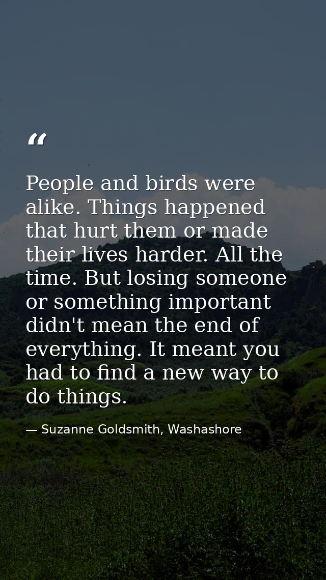 People and birds were alike. Things happened that hurt them or made their lives harder. All the time. But losing someone — Suzanne Goldsmith, Washashore