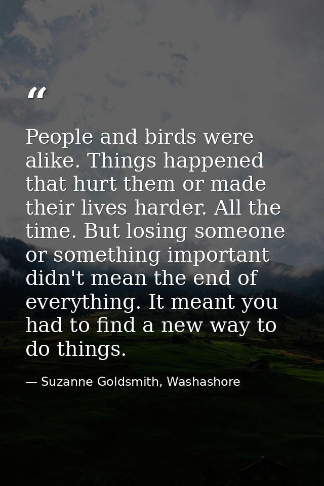 People and birds were alike. Things happened that hurt them or made their lives harder. All the time. But losing someone — Suzanne Goldsmith, Washashore