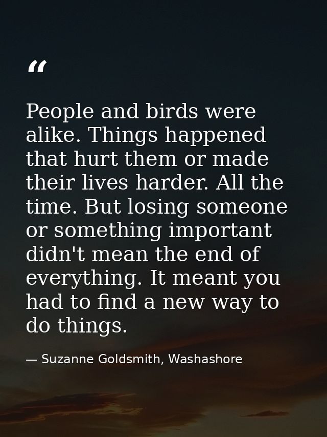 People and birds were alike. Things happened that hurt them or made their lives harder. All the time. But losing someone — Suzanne Goldsmith, Washashore