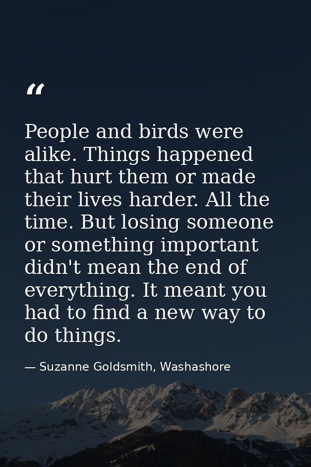 People and birds were alike. Things happened that hurt them or made their lives harder. All the time. But losing someone — Suzanne Goldsmith, Washashore