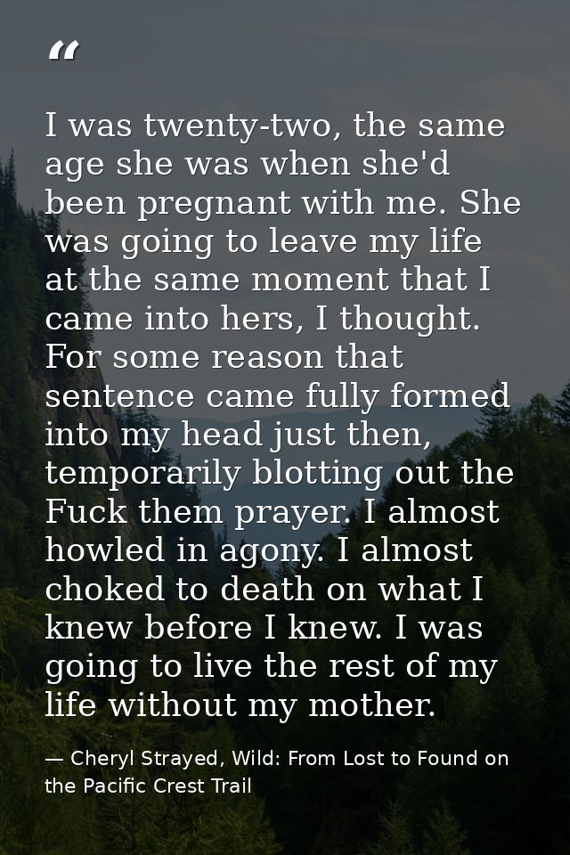 I was twenty-two, the same age she was when she'd been pregnant with me. She was going to leave my life at the same mome — Cheryl Strayed, Wild: From Lost to Found on the Pacific Crest Trail
