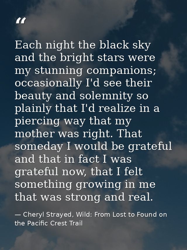 Each night the black sky and the bright stars were my stunning companions; occasionally I'd see their beauty and solemni — Cheryl Strayed, Wild: From Lost to Found on the Pacific Crest Trail