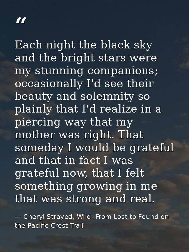 Each night the black sky and the bright stars were my stunning companions; occasionally I'd see their beauty and solemni — Cheryl Strayed, Wild: From Lost to Found on the Pacific Crest Trail