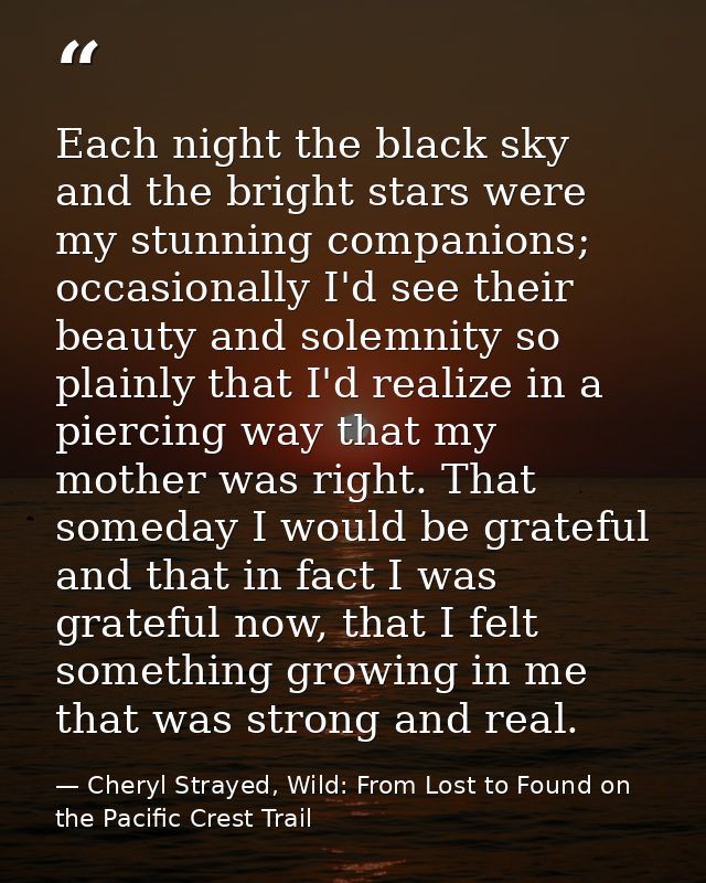 Each night the black sky and the bright stars were my stunning companions; occasionally I'd see their beauty and solemni — Cheryl Strayed, Wild: From Lost to Found on the Pacific Crest Trail