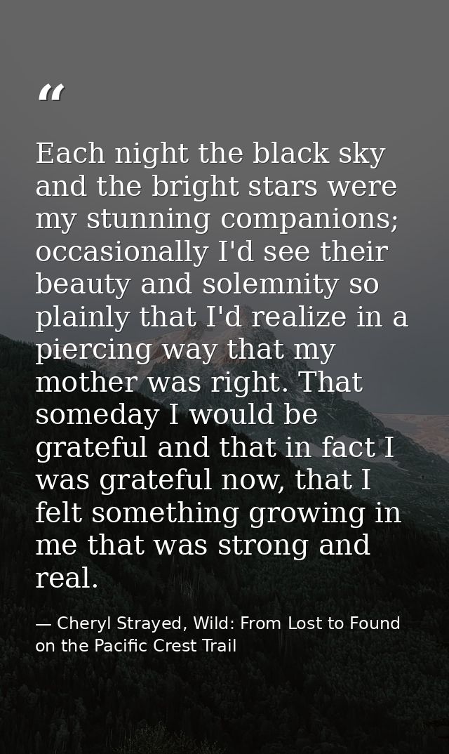 Each night the black sky and the bright stars were my stunning companions; occasionally I'd see their beauty and solemni — Cheryl Strayed, Wild: From Lost to Found on the Pacific Crest Trail