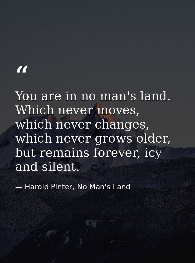 You are in no man's land. Which never moves, which never changes, which never grows older, but remains forever, icy and  — Harold Pinter, No Man's Land