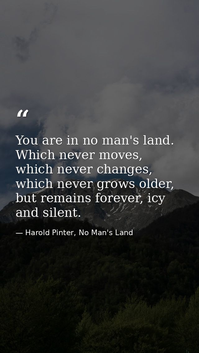 You are in no man's land. Which never moves, which never changes, which never grows older, but remains forever, icy and  — Harold Pinter, No Man's Land