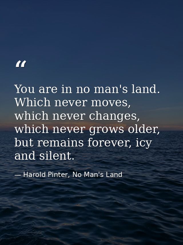 You are in no man's land. Which never moves, which never changes, which never grows older, but remains forever, icy and  — Harold Pinter, No Man's Land