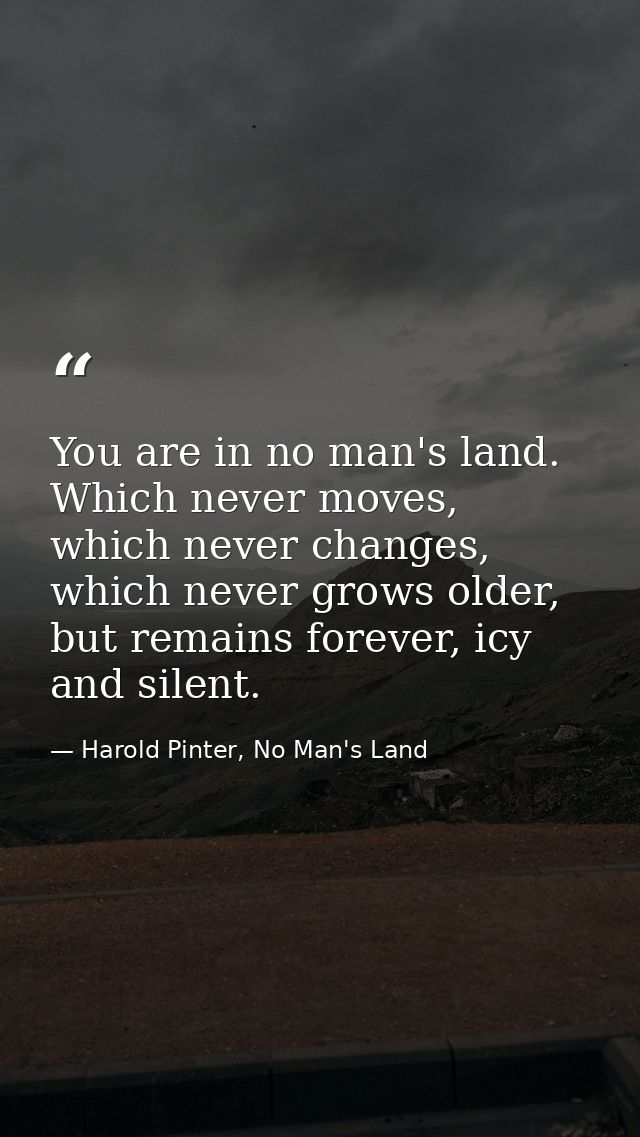 You are in no man's land. Which never moves, which never changes, which never grows older, but remains forever, icy and  — Harold Pinter, No Man's Land
