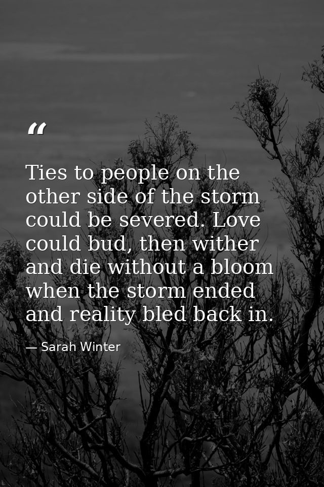 Ties to people on the other side of the storm could be severed. Love could bud, then wither and die without a bloom when — Sarah Winter