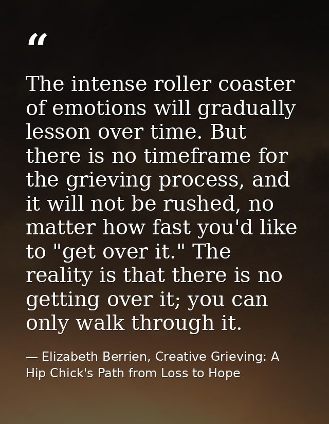 The intense roller coaster of emotions will gradually lesson over time. But there is no timeframe for the grieving proce — Elizabeth Berrien, Creative Grieving: A Hip Chick's Path from Loss to Hope