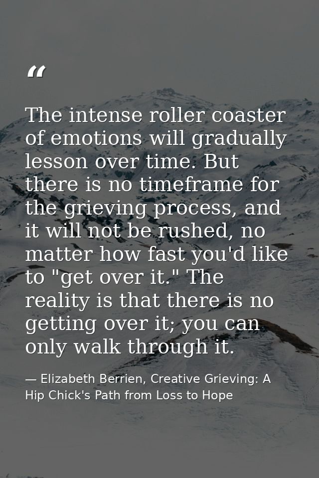 The intense roller coaster of emotions will gradually lesson over time. But there is no timeframe for the grieving proce — Elizabeth Berrien, Creative Grieving: A Hip Chick's Path from Loss to Hope