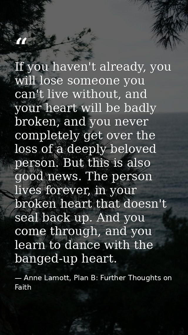If you haven't already, you will lose someone you can't live without, and your heart will be badly broken, and you never — Anne Lamott, Plan B: Further Thoughts on Faith