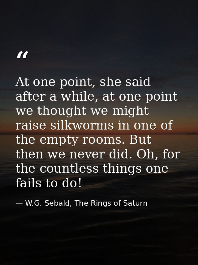 At one point, she said after a while, at one point we thought we might raise silkworms in one of the empty rooms. But th — W.G. Sebald, The Rings of Saturn