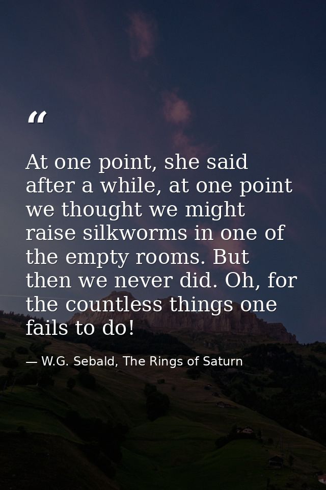 At one point, she said after a while, at one point we thought we might raise silkworms in one of the empty rooms. But th — W.G. Sebald, The Rings of Saturn