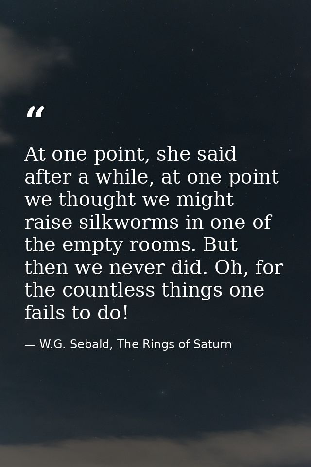 At one point, she said after a while, at one point we thought we might raise silkworms in one of the empty rooms. But th — W.G. Sebald, The Rings of Saturn