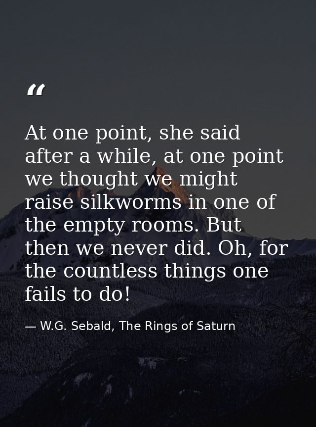At one point, she said after a while, at one point we thought we might raise silkworms in one of the empty rooms. But th — W.G. Sebald, The Rings of Saturn