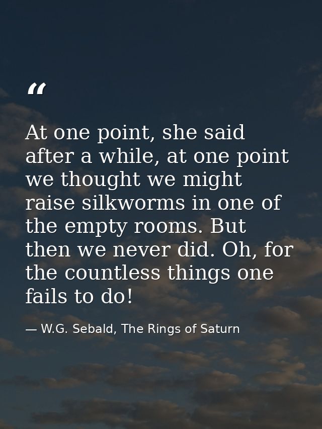 At one point, she said after a while, at one point we thought we might raise silkworms in one of the empty rooms. But th — W.G. Sebald, The Rings of Saturn