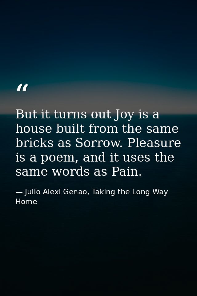 But it turns out Joy is a house built from the same bricks as Sorrow. Pleasure is a poem, and it uses the same words as  — Julio Alexi Genao, Taking the Long Way Home