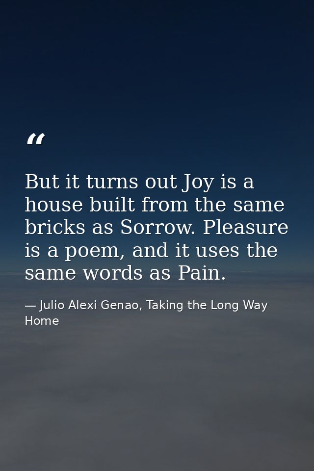 But it turns out Joy is a house built from the same bricks as Sorrow. Pleasure is a poem, and it uses the same words as  — Julio Alexi Genao, Taking the Long Way Home