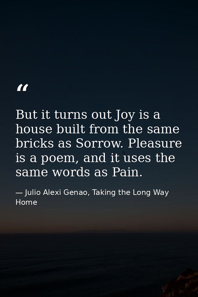 But it turns out Joy is a house built from the same bricks as Sorrow. Pleasure is a poem, and it uses the same words as  — Julio Alexi Genao, Taking the Long Way Home