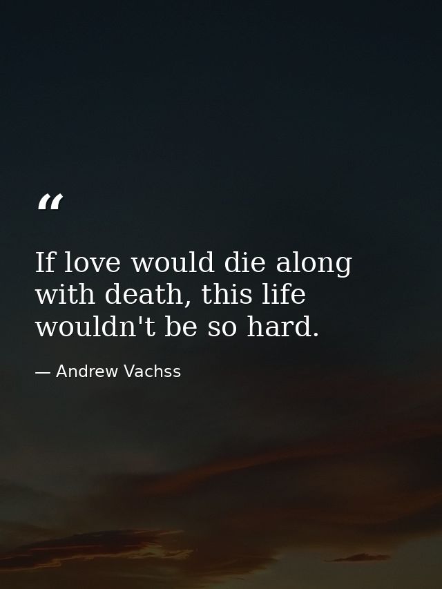 If love would die along with death, this life wouldn't be so hard. — Andrew Vachss