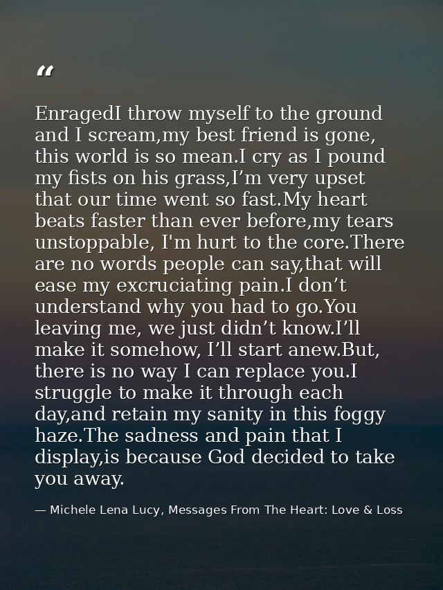 EnragedI throw myself to the ground and I scream,my best friend is gone, this world is so mean.I cry as I pound my fists — Michele Lena Lucy, Messages From The Heart: Love & Loss
