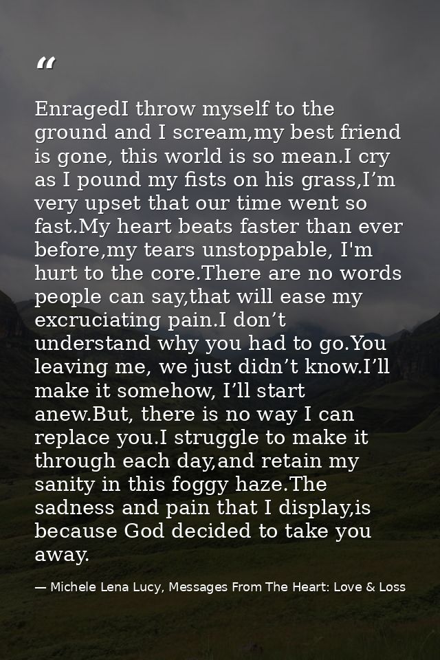 EnragedI throw myself to the ground and I scream,my best friend is gone, this world is so mean.I cry as I pound my fists — Michele Lena Lucy, Messages From The Heart: Love & Loss