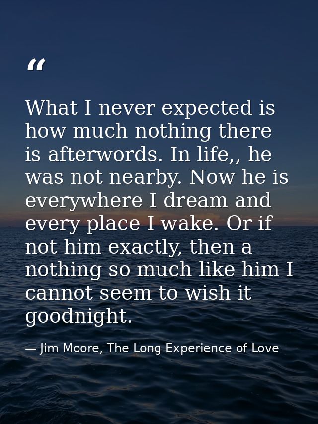 What I never expected is how much nothing there is afterwords. In life,, he was not nearby. Now he is everywhere I dream — Jim Moore, The Long Experience of Love