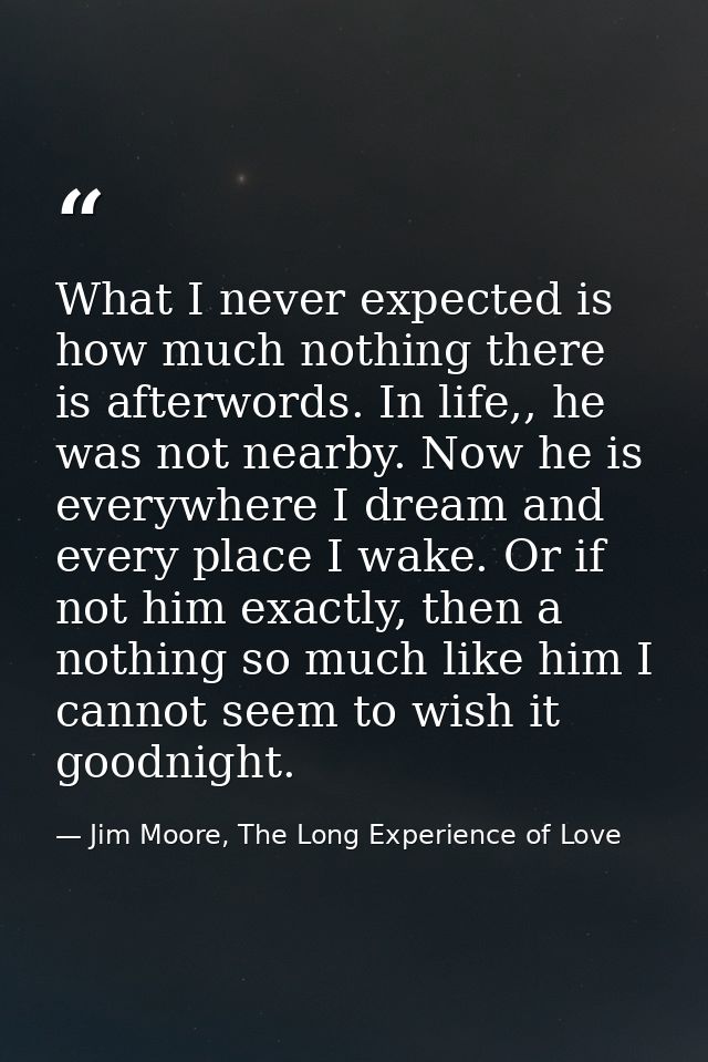 What I never expected is how much nothing there is afterwords. In life,, he was not nearby. Now he is everywhere I dream — Jim Moore, The Long Experience of Love