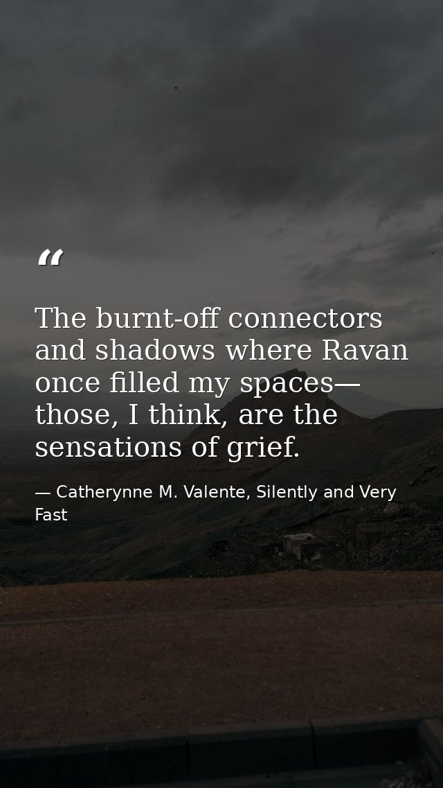 The burnt-off connectors and shadows where Ravan once filled my spaces— those, I think, are the sensations of grief. — Catherynne M. Valente, Silently and Very Fast