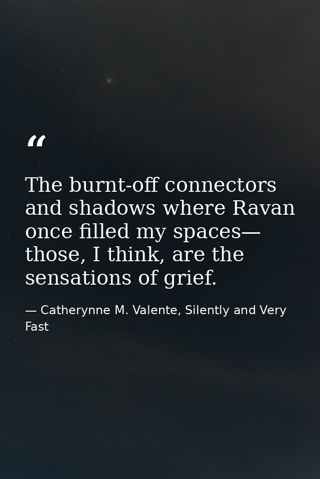 The burnt-off connectors and shadows where Ravan once filled my spaces— those, I think, are the sensations of grief. — Catherynne M. Valente, Silently and Very Fast