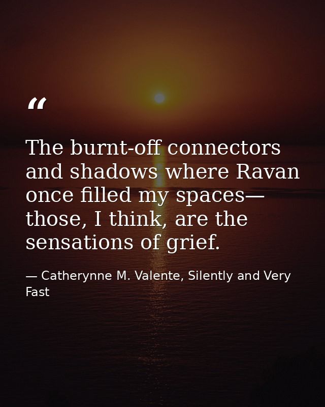 The burnt-off connectors and shadows where Ravan once filled my spaces— those, I think, are the sensations of grief. — Catherynne M. Valente, Silently and Very Fast