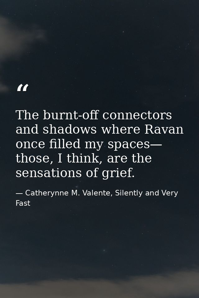 The burnt-off connectors and shadows where Ravan once filled my spaces— those, I think, are the sensations of grief. — Catherynne M. Valente, Silently and Very Fast