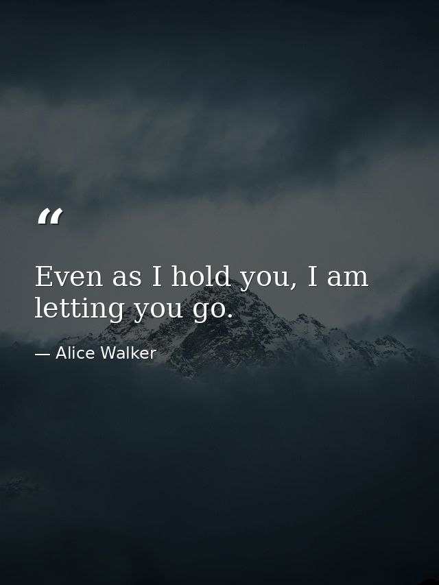 Even as I hold you, I am letting you go. — Alice Walker