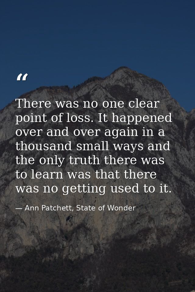 There was no one clear point of loss. It happened over and over again in a thousand small ways and the only truth there  — Ann Patchett, State of Wonder